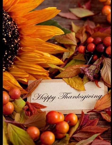 Thanksgiving Pics Vintage, Vintage Happy Thanksgiving Images, Happy Thanksgiving Aesthetic, Thanksgiving Images For Facebook, Free Thanksgiving Wallpaper, Vintage Thanksgiving Greetings, Happy Thankgiving, Happy Thanksgiving Wallpaper, Animated Pumpkins