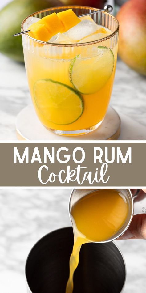 Mango Tango Drink Cocktails, Mango Rum Cocktail, Mango Rum Drinks Recipes, Mango Juice Cocktail, Mango Tango Drink, Mango Cocktails, Island Cocktails, Rum Drinks Recipes, Unique Cocktail Recipes