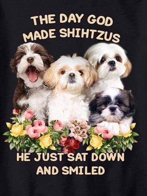 Shih Tzu Quotes, Shitzu Dogs, Shitzu Puppies, Maltese Shih Tzu, Dog Lover Quotes, Puppies And Kitties, Shih Tzu Puppy, Shih Tzu Dog