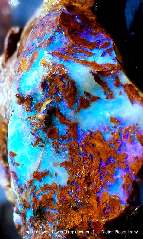 opalised wood [wood replacement Opalized Wood, Geode Rocks, Rocks And Fossils, Rock Minerals, Pretty Rocks, Cool Rocks, Rock Jewelry, Beautiful Rocks, Rock Collection