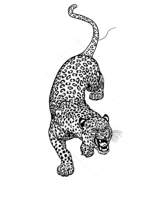 Cheetah Tattoo Men, Big Cat Tattoos, Leapord Tattoo, Tattoo Japonais, Cheetah Tattoo, Leopard Tattoo, Big Cat Tattoo, Jaguar Tattoo, Leopard Tattoos