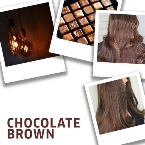 Hair Color Formulas Wella, Milk Chocolate Brown Hair, Wella Formulas, Hair Formulas, Hair Color Brown Chestnut, Brown Hair Trends, Golden Brown Hair Color, Natural Brown Hair, Chestnut Brown Color