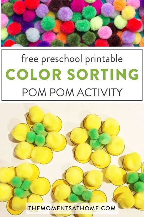 Have fun learning color sorting with pom moms! Grab your free printable worksheet (PDF) for preschoolers learning to for colors. Pom Pom Activities, Hungry Caterpillar Craft, Sorting Colors, Pom Flowers, Pom Pom Tree, Caterpillar Craft, Pom Mom, Pom Pom Flowers, Toddler Homeschool