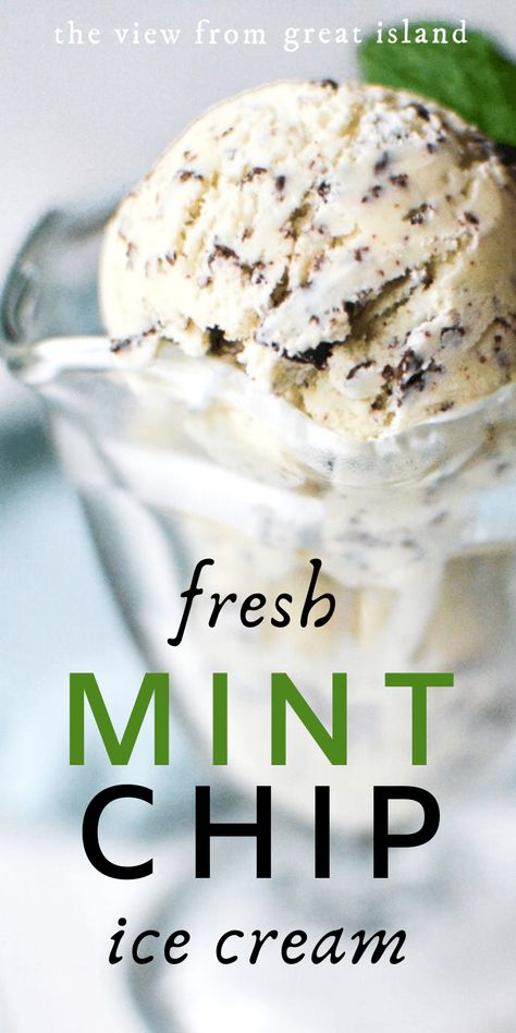 Mint Chip Ice Cream Recipe, Cuisinart Ice Cream, Mint Chip Ice Cream, Ice Cream Maker Recipes, Mint Chocolate Chip Ice Cream, Mint Ice Cream, Mint Recipes, Healthy Food Facts, Chocolate Chip Ice Cream