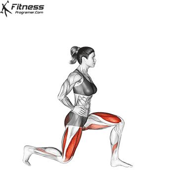 Running Training Programs, Dynamic Stretching Exercises, Free Workout Plans, Best Leg Workout, Apple Slice, Hip Flexor Stretch, Workout Plan For Beginners, Knee Exercises, Reverse Lunges