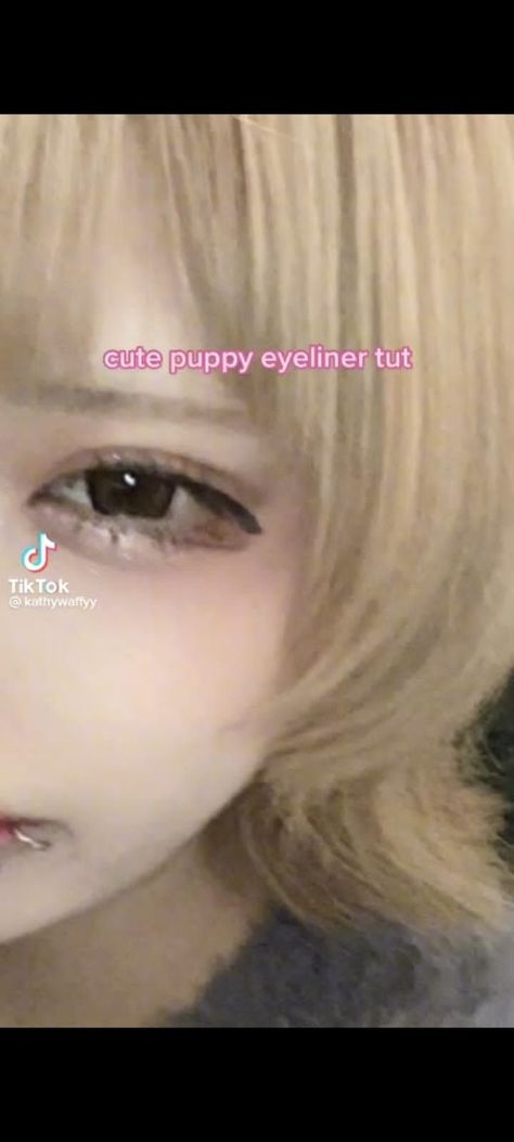 Puppy Eyeliner Aesthetic, How To Do Puppy Eyeliner, Puppy Liner Makeup, Puppy Eyeliner Tutorial, Puppy Eye Makeup, Puppy Eyes Makeup, Puppy Eyeliner, Doll Makeup Tutorial, Japan Makeup