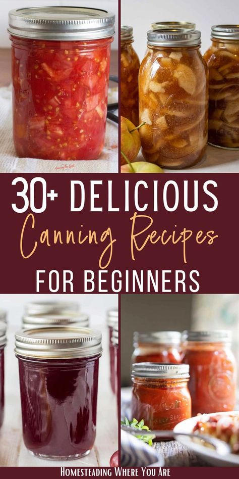 Sauces To Can, Canning Jelly For Beginners, Canned Sauces, Canning Recipes For Beginners, Easy Canning Recipes, Preserves Recipes, Canned Recipes, Canning Applesauce, Canning Granny