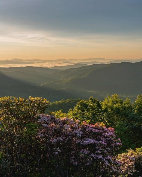 Hug Emoji, Blue Ridge Mountains North Carolina, Outdoorsy Aesthetic, Create Board, Airport Aesthetic, There She Goes, Momento Mori, Travel Diaries, Mountain Sunset