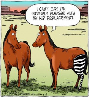 Hip Replacement Funny Quotes. QuotesGram Physical Therapy Humor, Surgery Humor, Cowboy Humor, Therapy Humor, Funny Cartoon Memes, Hip Problems, Hip Surgery, Monday Humor, Golf Humor