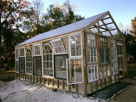 my green house...to build this year..2020. Single Slope Greenhouse, Green House Made Of Old Windows, Build A Greenhouse With Old Windows, Green House Windows, Small Greenhouse Diy Old Windows, Old Window Greenhouse, Glass Green House, Old Window Mini Greenhouse, Reclaimed Glass Greenhouse