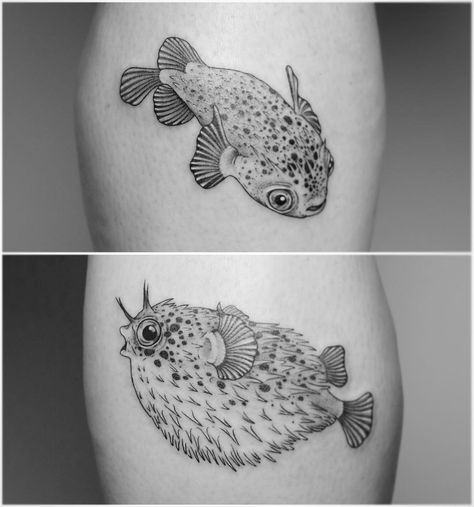 Pufferfish by Minnie at Seventh Day Tattoo Studio. Puffer Fish Tattoo, Obx Tattoos, Marines Tattoo, Japanese Puffer Fish, Biology Tattoo, Sea Life Tattoos, Marine Tattoo, Animal Tattoos For Women, Couples Tattoo