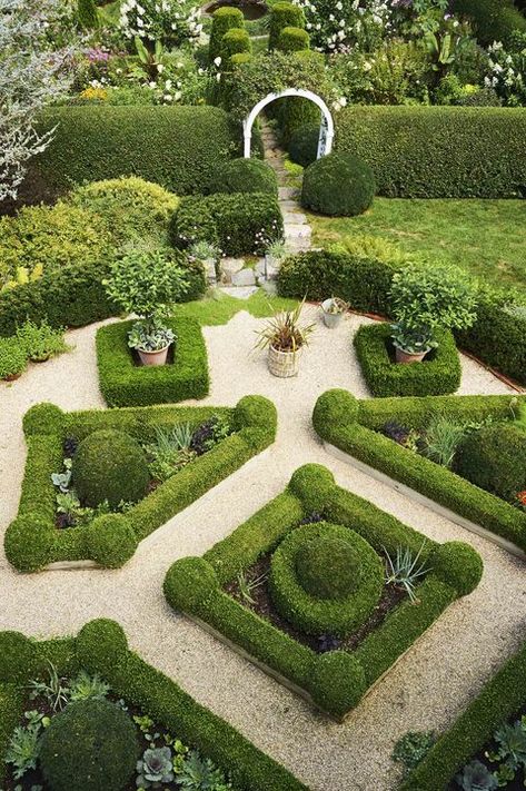 Boxwood Landscaping, Courtyard Plants, Parterre Garden, Boxwood Garden, Red Maple Tree, Rose Cuttings, Hillside Garden, Boxwood Hedge, Landscaping Front Yard