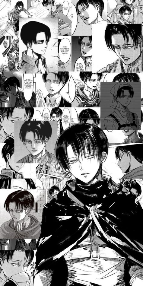 Levi Ackerman Wallpapers, Dressing Room Decor, Captain Levi, You Are My Everything, Digital Art Anime, Levi Ackerman, Cute Little Animals, Attack On Titan, بلاك بينك