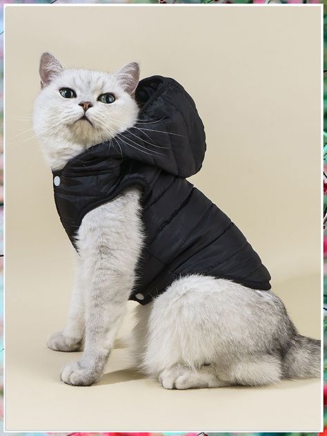 Looking to dress up your feline friend? Check out these 9 purr-fect cat clothes ideas that will make your kitty the most stylish pet on the block! From cozy sweaters to adorable costumes, these outfits are sure to make your cat the talk of the town. Find the perfect cat clothes for your furry friend today! Dog Tutu, Pet Coats, Cat Clothing, Cat Harness, Cat Fashion, Cat Dresses, Cat Hoodie, Dog Vest, Cat Accessories