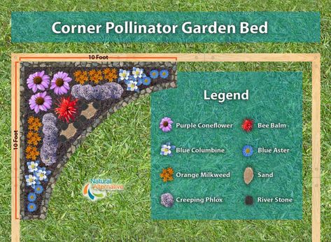 Corner Garden Plan, Hummingbird Garden Layout, Bee Garden Plan, Butterfly Garden Plans Layout, Flower Garden Against House, Florida Pollinator Garden, School Pollinator Garden, Perrenial Garden Layout, Corner Flower Garden