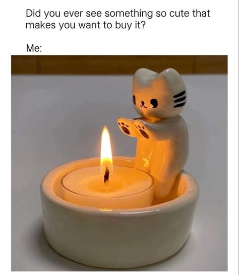 Funny Animal Facts, Funny Animal Vines, Funny Animal Clips, Funny Animal Fails, Cat Candle Holder, Diy Fails, Hilarious Texts, Cat Candle, Funny V