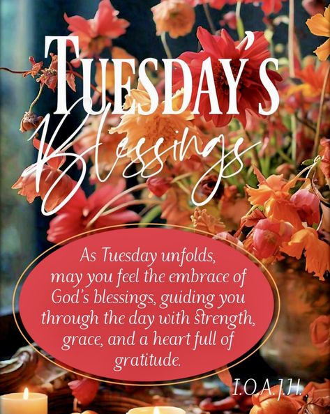 Tuesday Blessings Mornings, Have A Blessed Tuesday, Tuesday Morning Wishes, Good Morning Saturday Wishes, Blessed Tuesday, Tuesday Greetings, Tuesday Blessings, Good Morning Happy Thursday, Happy Tuesday Quotes