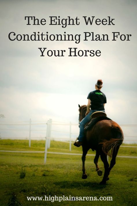 Boarding Facility, Horse Training Exercises, Horse Lessons, Horse Information, Horse Exercises, Horse Care Tips, Horse Riding Tips, Horse Training Tips, Barrel Horse