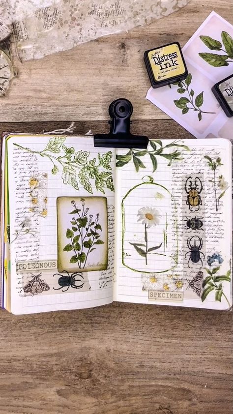 Pressed Flower Journal, Herbarium Art, Framed Botanical Art, Botanical Journal, Framed Flower Art, Botanical Book, Plant Journal, Round Robin, Plant Book