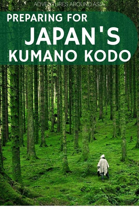 Why I decided to hike Japan's Kumano Kodo Iseji Kumano Kodo, Japan Beach, Japan Travel Destinations, Kobe Japan, Kyoto Travel, Japan Travel Tips, Travel Necessities, Japan Travel Guide, Wakayama