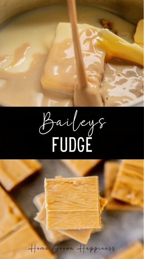 Baileys fudge is a creamy and sweet treat, spiked with Baileys Irish cream. Perfect for any time of year, but ideal for the holiday season or St. Patrick’s day celebrations. Homemade fudge makes a great gift! Homemade Baileys Irish Cream, Baileys Irish Cream Recipes, Baileys Fudge, Coffee Fudge, Irish Cream Recipe, Homemade Baileys, Fudge Dessert, Baileys Recipes, Christmas Food Treats