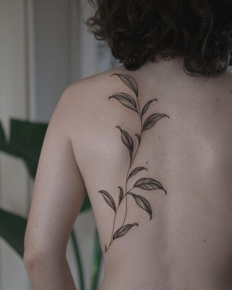 Botanical Back Tattoo Women, Back Leaf Tattoo, Leaf Tattoo Back, Leaves Back Tattoo, Botanical Back Tattoo, Leaf Back Tattoo, Feminine Shoulder Tattoos, Line Drawing Tattoos, Back Of Shoulder Tattoo