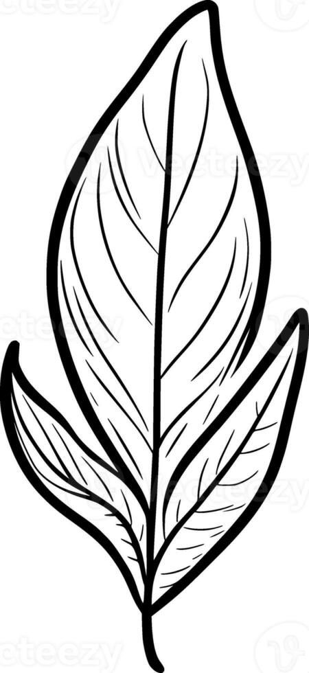 leaf with a black and white cartoon, drawing. White Cartoon, Black And White Cartoon, Drawing Drawing, Cartoon Drawing, Vector Free, A Black, Black And White, Photo And Video, Drawings