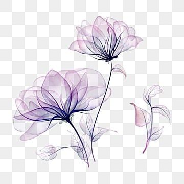 transparent,flowers,leaf,plant,watercolor,leaf clipart,flowers clipart,plant clipart,watercolor clipart,transparent clipart Watercolour Transparent Flowers, Flower Png Transparent Background, Flowers Transparent, Plant Clipart, Plant Watercolor, Leaf Png, Clipart Flowers, Transparent Watercolor, Watercolor Leaf