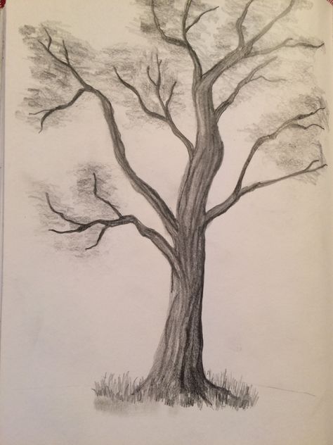 Tree Shading Pencil, Shaded Tree Drawing, Leaveless Tree Drawing, Sketches Of Trees Pencil, Drawings Of Trees Easy, Tree Drawings Pencil Simple, Sketch Tree Pencil, Tree Drawing With Pencil, Tree Drawing No Leaves