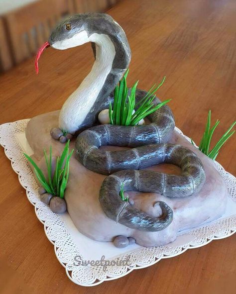 25 Cobra Cake Design (Cake Idea) - January 2020 Cobra Cake, Snake Birthday Cake, Christian Cakes, Snake Cake, Digger Cake, Snake Cakes, Snake Birthday, Snake Party, Reptile Party