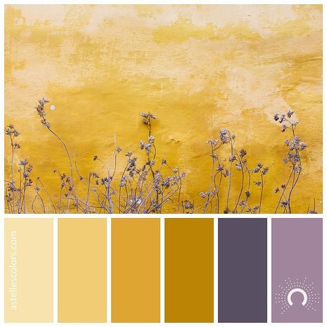 Color inspiration [ growing ]   Mona Eendra @monaeendra - thank you for sharing this beautiful harmonious picture!  picture source @unsplash  color palette no 191   color names: Peach Yellow Topaz Goldenrod Dark Goldenrod Davy's Grey English Lavender  name source @coolors_co  Which color is your favorite in this palette? - Mine is the combination of Dark Goldenrod and Davy's Grey   for hex codes hop on over to my website astellescolors.com Wedding Color Palette Yellow, Purple And Yellow Color Palette, Palette Living Room, Yellow Color Combinations, Yellow Color Palette, Color Palette Living Room, Yellow Palette, Purple Color Schemes, Purple Color Palettes