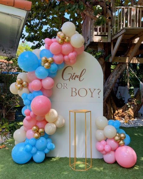 What will it be? 🙈 Classic Gender Reveal decoration 🩷🩵 #balloongarland #birthdaypartyballoon #miamibirthdayparty #southflbirthdayparty #southflorida #birthdaycake #birthdaygirl #birthdayboy #genderrevealdecor #babyshower #babyshowerballoons #babyshowerdecorations #graduationparty #birthdaypartyballoondecor #birthdayideas #marqueenumber #southfloridaballoons #livelyevents #balloonsmallbusiness #balloonarrangement #babyboy #babygirl Park Gender Reveal Party, Stitch Cake, Gender Reveal Decorations, Balloon Arrangements, Birthday Party Balloon, Balloon Decor, Baby Shower Balloons, Reveal Parties, Gender Reveal Party