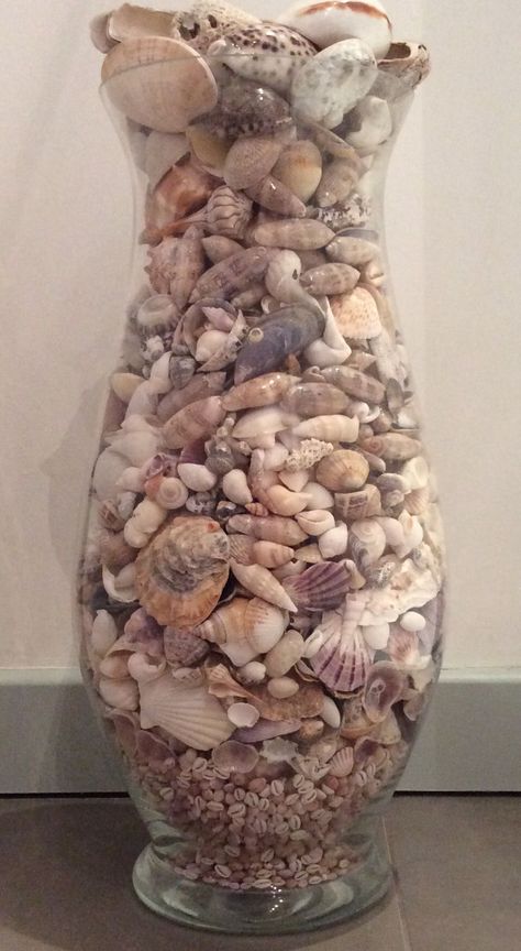 Tall Glass Vase Ideas, Pallet Closet, Seashell Display, Beach Crafts Diy, Seashell Art Diy, Tall Glass Vases, Shell Display, Tall Glass Vase, Diy Fabric Jewellery