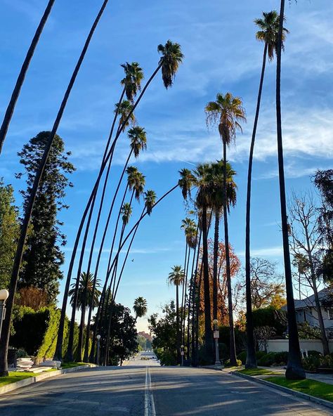 Starway To Heaven, Create Your Story, Pasadena California, California Photography, Stairway To Heaven, Living Legends, Green Life, Perfect Life, City Aesthetic