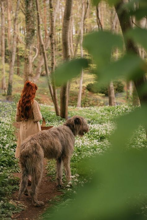 Celtic Culture Aesthetic, Rita Core, Rebecca Core, Celtic Aesthetic, Irish Aesthetic, Wolfhound Puppies, Irish Wolfhound Dogs, Wolfhound Dog, A Clothes Horse