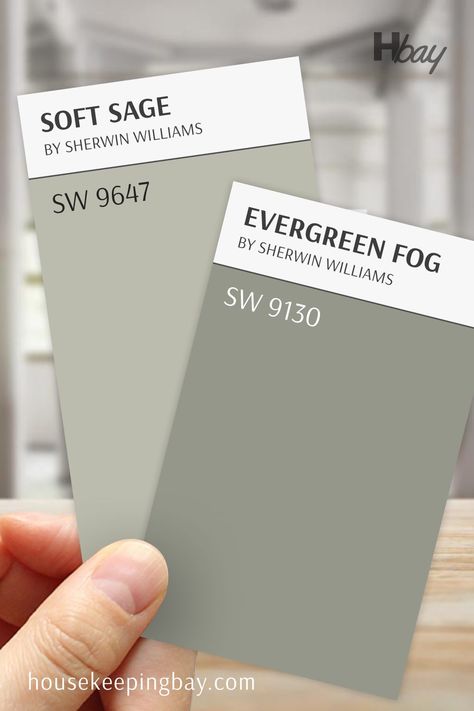 Soft Sage by Benjamin Moore vs Evergreen Fog SW 9130 by Sherwin Williams Evergreen Fog Trim Color, Evergreen Fog Benjamin Moore, Evergreen Fog Sherwin Williams Bathroom Cabinets, Olive Sage Green Paint, Evergreen Fog Sherwin Williams Accent Wall, Sage Mountain Benjamin Moore, Sw Sanctuary Paint Color, Evergreen Fog Sherwin Williams Dining Room, Sw Evergreen Fog Bathroom