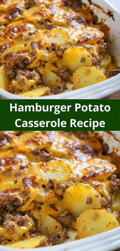 Discover a new favorite with this Hamburger Potato Casserole! It's ideal for dinner recipes for family or dinner recipes for two. Easy to make and healthy, it's a fantastic addition to your dinner recipes ideas collection. Hamburger And Potato Casserole, Ground Beef Potatoes, Hamburger Potato Casserole, Hamburger And Potatoes, Potatoes And Cheese, Hamburger Casseroles Recipes, Beef Potatoes, Ground Beef And Potatoes, Easy Hamburger