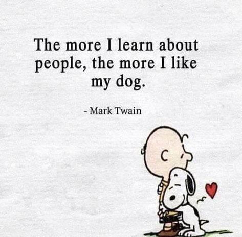 Peanuts Quotes, Charlie Brown Quotes, Snoopy Funny, Snoopy Quotes, Snoopy Pictures, Animals Dogs, Snoopy Love, Charlie Brown And Snoopy, About People