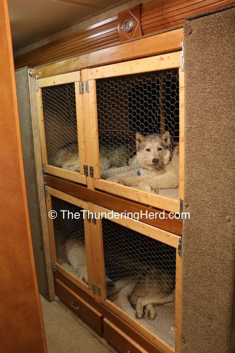 Dog Kennels In Rv, Camper Dog Kennel, Rv Dog Kennel Ideas, Rv Dog Kennel, Goth Camper, Decorating Camper, Dog Kennel Inside, Traveling Van, Rv Dog