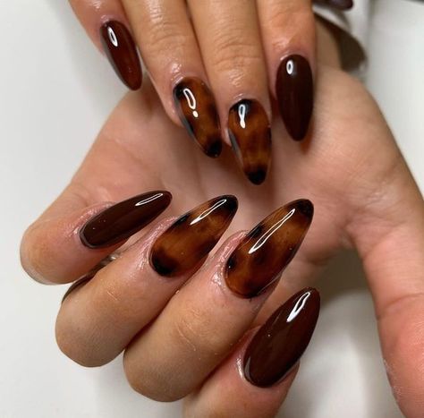 Torte Shell Nails, Nail Inspo Tortoise Shell, Nail Tortoise Shell, Tortoise Shell Acrylic Nails, Hailey Bieber Tortoise Nails, Autumn Nails Tortoise Shell, Tortieshell Nails, Tortoise Shell Nails Blooming Gel, Fall Tortoise Shell Nails