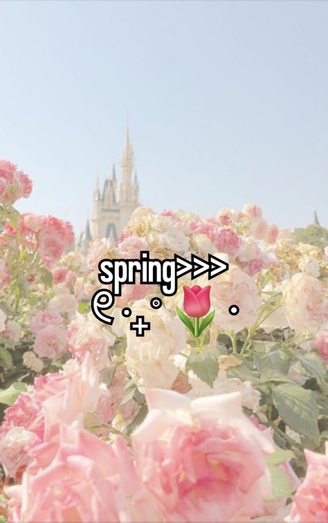 Spring Whisper, Im A Princess, Cherry Blossom Wedding, Spring Girl, Pretty When You Cry, Are You Okay, Online Diary, Spring Aesthetic, Whimsical Wedding