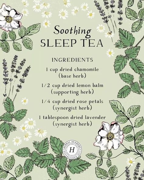 Herbal Academy on Instagram: "We're breaking down our Soothing Sleep Tea showing how we blended this recipe with a base herb, supporting herb, and two synergist herbs.  ​ ​SOOTHING SLEEP TEA RECIPE BASE HERB: 1 cup dried chamomile (Matricaria chamomilla) ​SUPPORTING HERB: ​½ cup dried lemon balm (Melissa officinalis) ​ ​SYNERGIST HERBS: ¼ cup dried rose (Rosa spp.) petals 1 tablespoon dried lavender (Lavandula officinalis) You can find step-by-step directions on preparing this tea as well as Herbal Tea Recipes Homemade, Witch Grimoire, Side Hussle, Tea Blends Recipes, Herbal Tea Garden, Herbal Academy, Herbal Education, Tea Remedies, Herbal Remedies Recipes