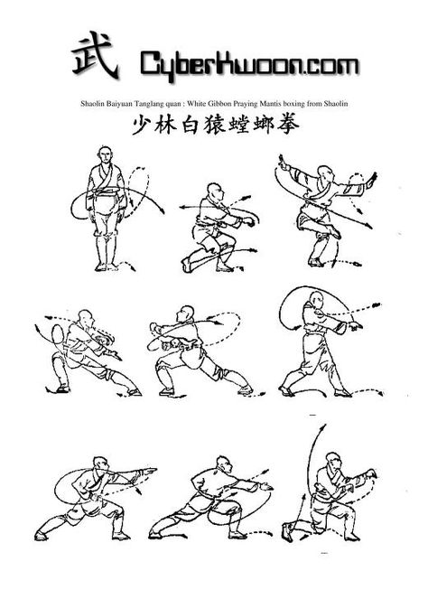 Shaolin Kung Fu White Gibbon Praying Mantis Boxing.pdf (PDFy mirror) : Free Download, Borrow, and Streaming : Internet Archive Kung Fu Praying Mantis, Kung Fu Stretching, Kung Fu Animal Styles, Kung Fu Practice, Kung Fu Forms, Shaolin Kung Fu, Kung Fu Martial Arts, Text Icons, Samurai Artwork