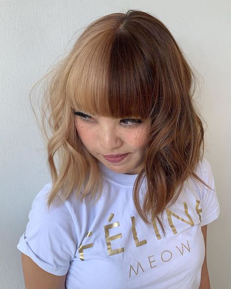 🖤🖤🖤 #shorthairgirls #shorthair #bangs #layershaircut #halfhalf #halfhalfhair #brownhair #brunette #blondehair #blonde Natural Half And Half Hair Color, Half Blonde Bangs, Half And Half Hair Color, Shorthair Bangs, Two Color Hair, Half And Half Hair, Split Dye, Split Dyed Hair, Blonde Bangs