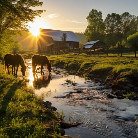 With each hoofbeat, a horse writes poetry on the earth. Life In Paradise, Country Photography, Farm Lifestyle, Horse Wallpaper, Small Town Romance, Most Beautiful Horses, Adventure Aesthetic, Cute Fantasy Creatures, Horse Ranch