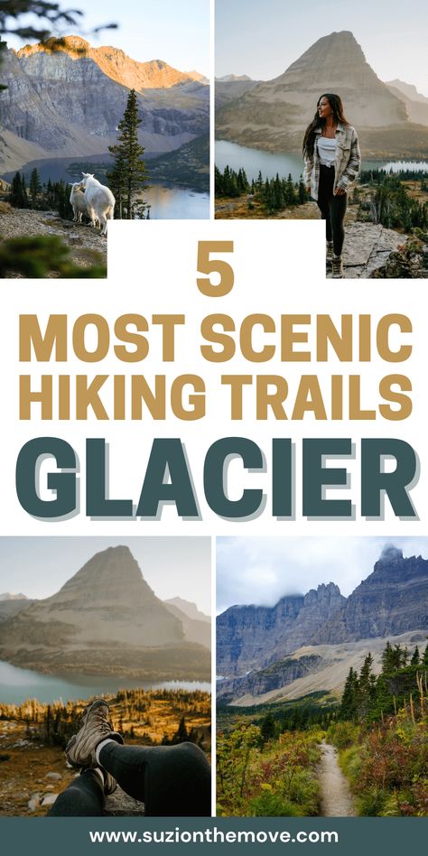 Check out the best Glacier National Park trails for stunning views! Find out which hikes offer the most amazing panoramas and natural beauty.  — glacier national park things to do | glacier national park aesthetic |glacier national park hikes | glacier national park top hikes | glacier national park hiking trails | glacier national park hiking itinerary North Fork Glacier National Park, Highline Trail Glacier National Park, Hiking Glacier National Park, West Glacier National Park, Hiking Itinerary, National Park Aesthetic, Glacier National Park Vacation, Glacier National Park Hikes, National Park Hikes