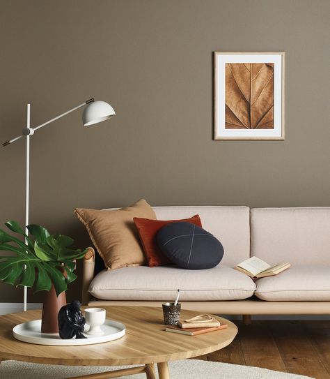 Porter's Paints - Wet cement. A warm neutral brown with a touch of ochre. Brown Walls Living Room, Reka Bentuk Bilik Tidur, Living Room Wall Color, Room Wall Colors, Room Wall Painting, Living Room Decor Colors, Design Apartment, Brown Walls, Paint Colors For Living Room