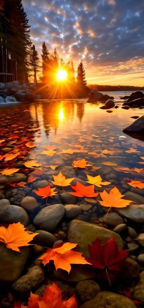 Autumn Sunset Aesthetic, Sunrise Wallpaper, Beautiful Scenery Photography, Beautiful Nature Wallpaper Hd, Take A Screenshot, Autumn Scenes, Iphone Wallpaper Photos, Amazing Sunsets, Beautiful Locations Nature