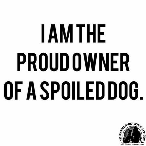 Spoiled Dog, Dog Mom Quotes, Colorful Hairstyles, Lovers Quotes, Crazy Dog, Animal Quotes, Mom Quotes, Dog Quotes, My Best Friend