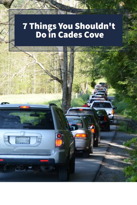 Planning a trip to Cades Cove in the Smoky Mountains? Avoid these top 7 mistakes to truly enjoy your experience. Discover local insider tips on what not to do during your visit to this picturesque destination. Don't miss out on the best of Cades Cove, click here for the full list and start planning your trip today: https://www.thesmokies.com/not-to-do-cades-cove/ Cades Cove Tennessee Photography, Mountain Christmas, Cades Cove Tennessee, Smokey Mountain, Tennessee Vacation, Cades Cove, Great Smoky Mountains National Park, East Tennessee, Smoky Mountain National Park